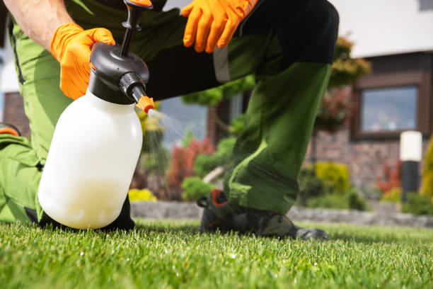 Best Pest Prevention Services  in Bishop, CA