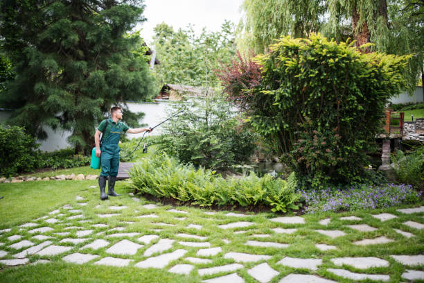 Reliable Bishop, CA Pest Control Solutions