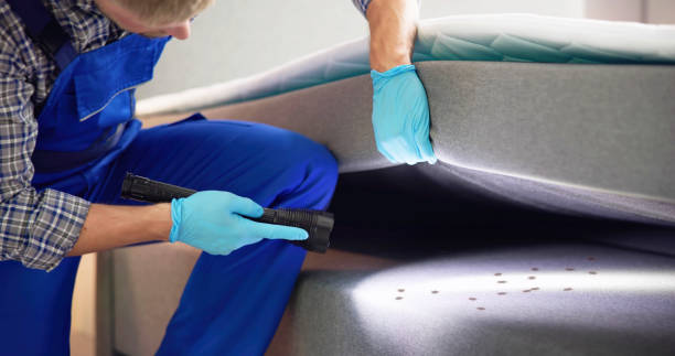 Best Termite Control Services  in Bishop, CA